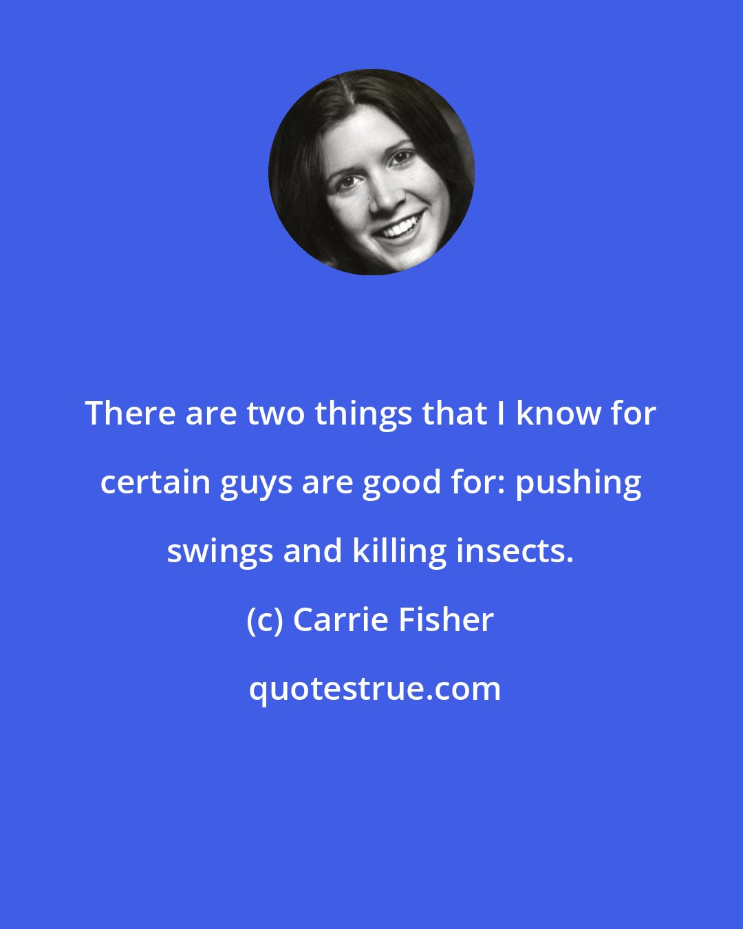 Carrie Fisher: There are two things that I know for certain guys are good for: pushing swings and killing insects.