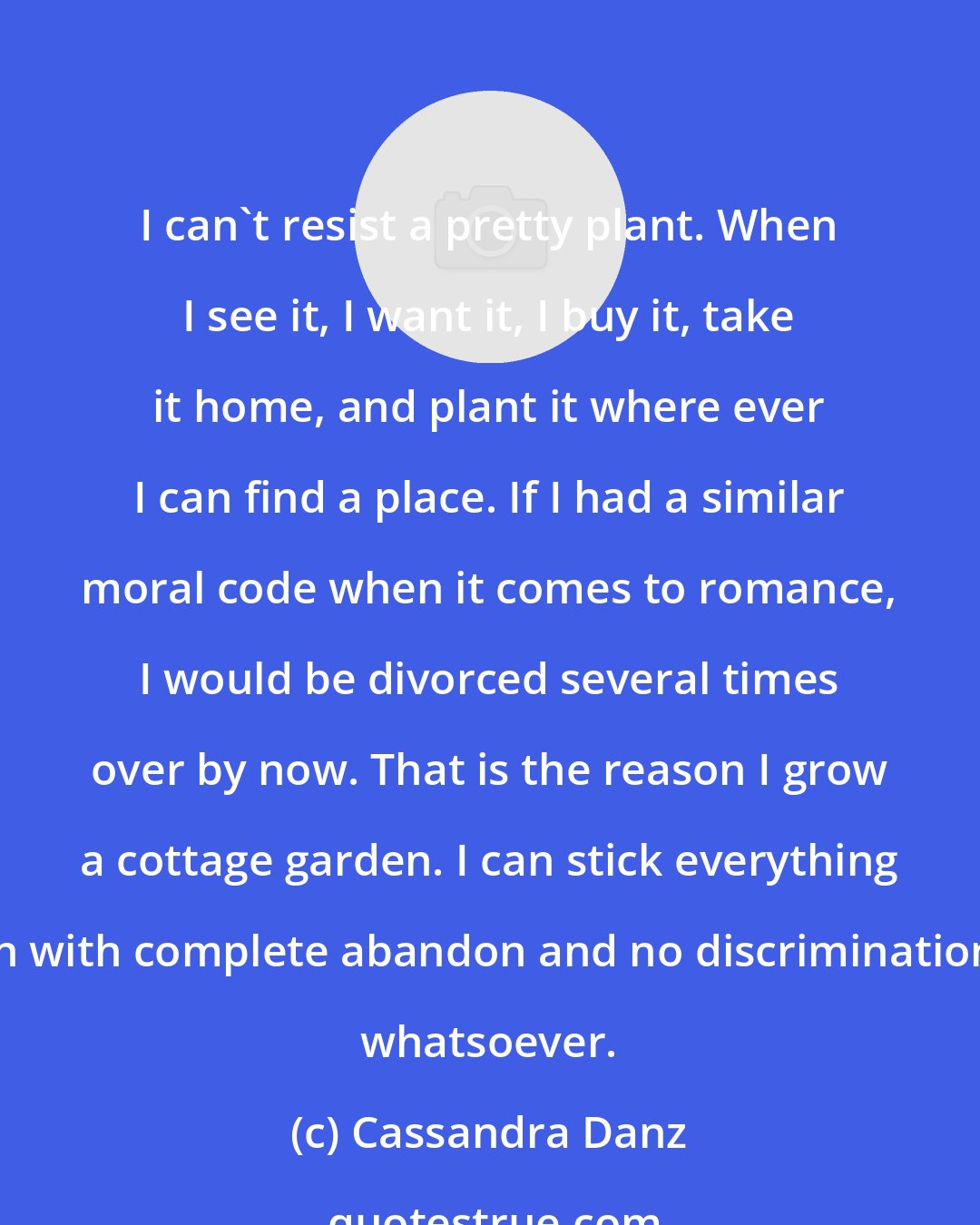 Cassandra Danz: I can't resist a pretty plant. When I see it, I want it, I buy it, take it home, and plant it where ever I can find a place. If I had a similar moral code when it comes to romance, I would be divorced several times over by now. That is the reason I grow a cottage garden. I can stick everything in with complete abandon and no discrimination whatsoever.