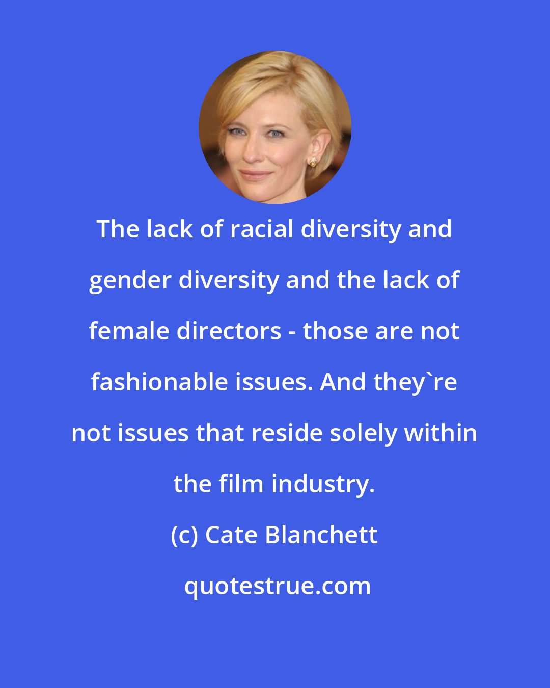 Cate Blanchett: The lack of racial diversity and gender diversity and the lack of female directors - those are not fashionable issues. And they're not issues that reside solely within the film industry.