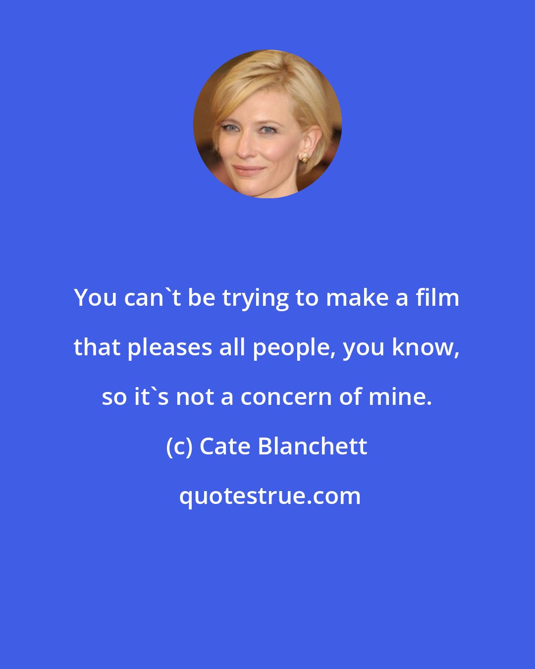 Cate Blanchett: You can't be trying to make a film that pleases all people, you know, so it's not a concern of mine.