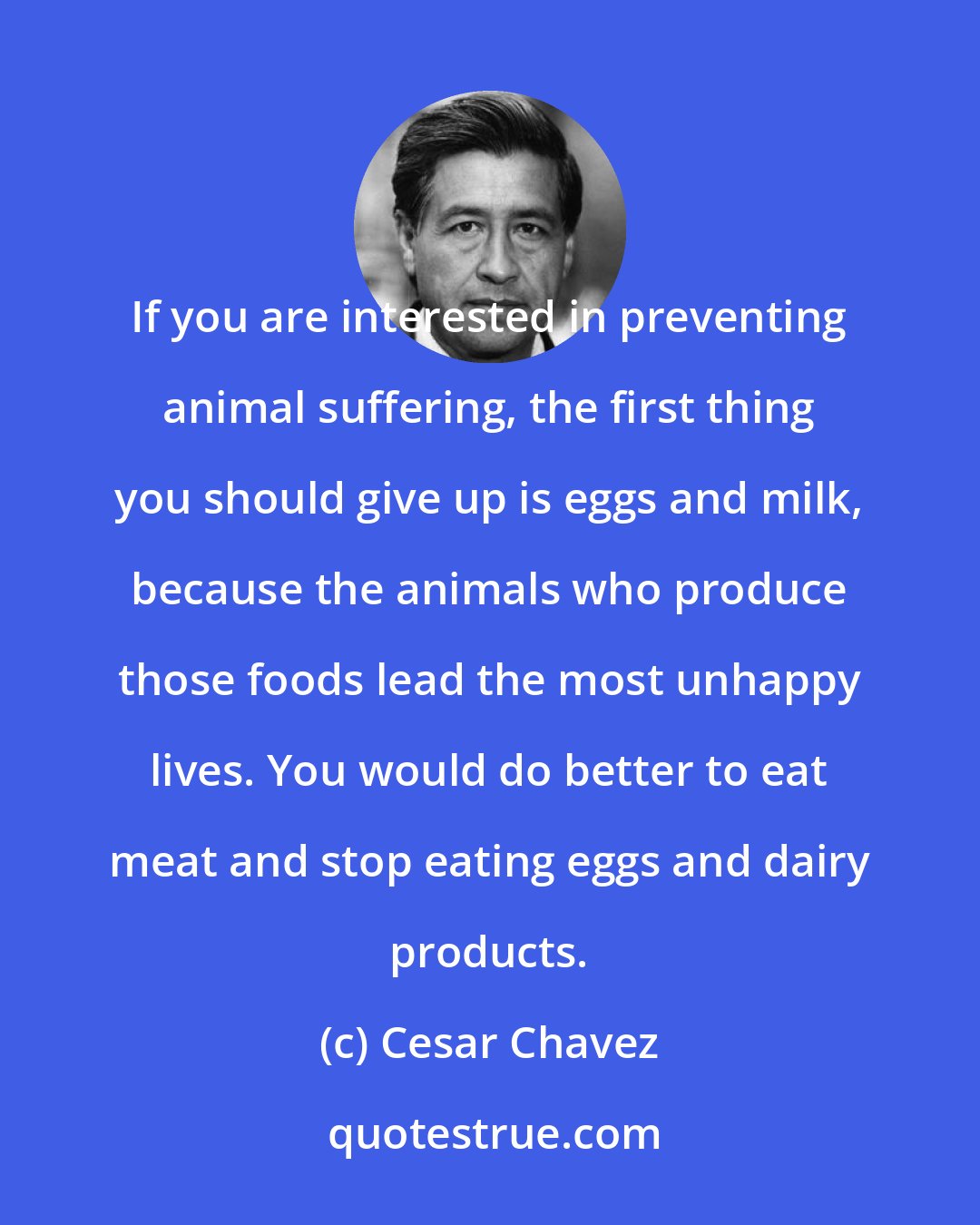 Cesar Chavez: If you are interested in preventing animal suffering, the first thing you should give up is eggs and milk, because the animals who produce those foods lead the most unhappy lives. You would do better to eat meat and stop eating eggs and dairy products.