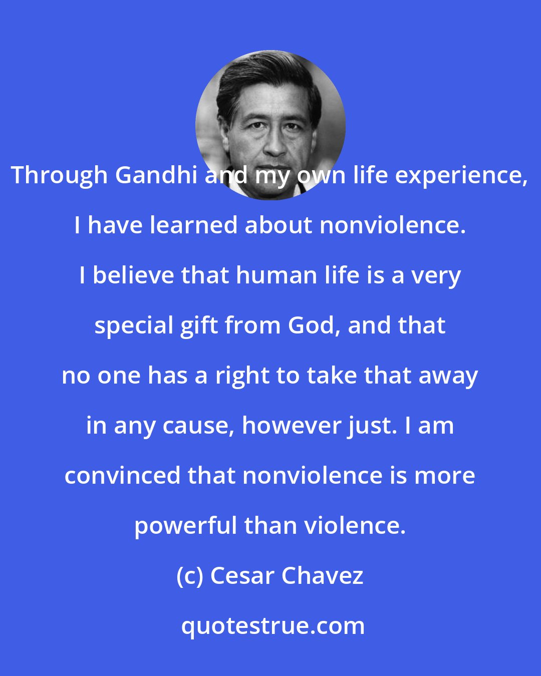 Cesar Chavez: Through Gandhi and my own life experience, I have learned about nonviolence. I believe that human life is a very special gift from God, and that no one has a right to take that away in any cause, however just. I am convinced that nonviolence is more powerful than violence.