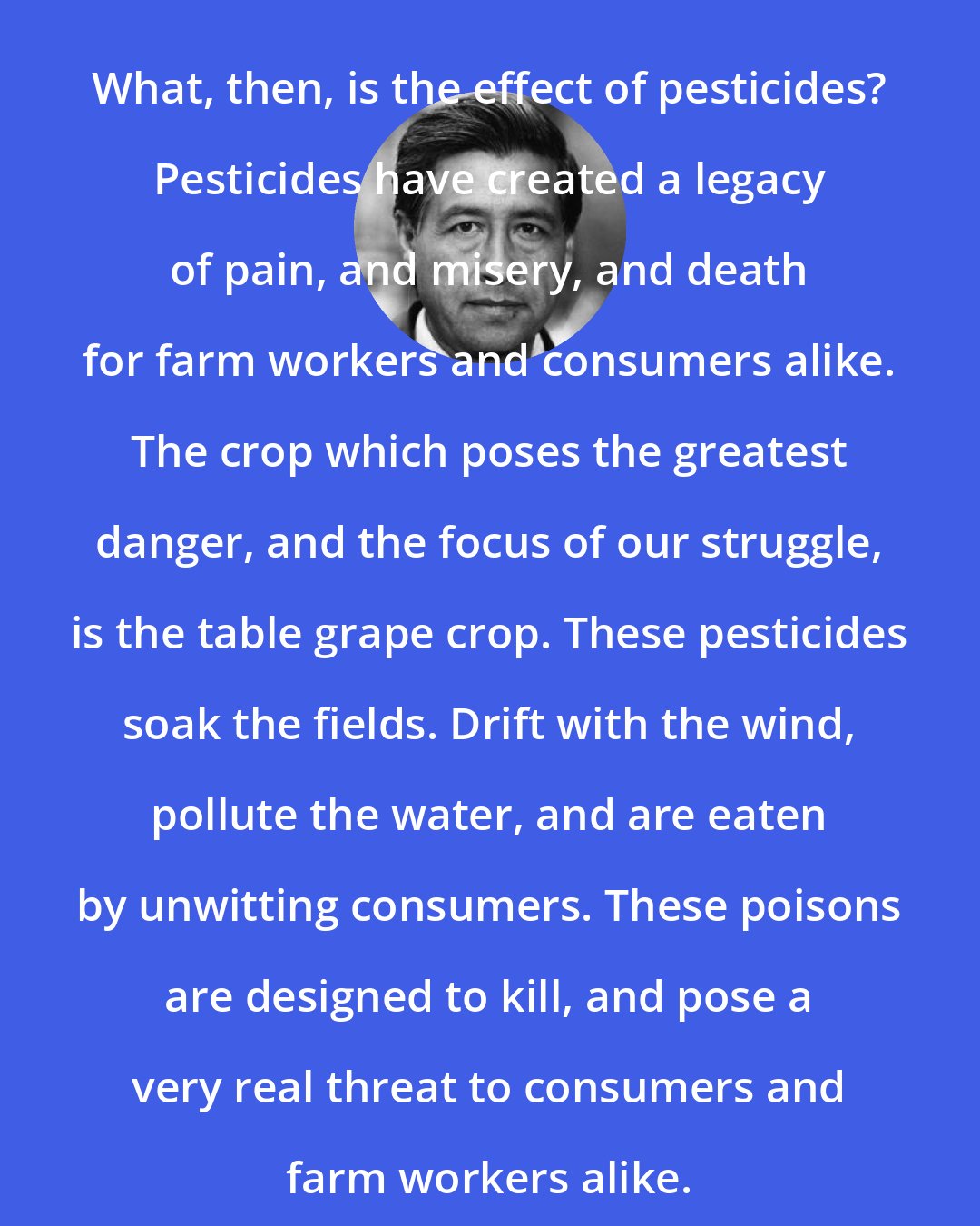 Cesar Chavez: What, then, is the effect of pesticides? Pesticides have created a legacy of pain, and misery, and death for farm workers and consumers alike. The crop which poses the greatest danger, and the focus of our struggle, is the table grape crop. These pesticides soak the fields. Drift with the wind, pollute the water, and are eaten by unwitting consumers. These poisons are designed to kill, and pose a very real threat to consumers and farm workers alike.