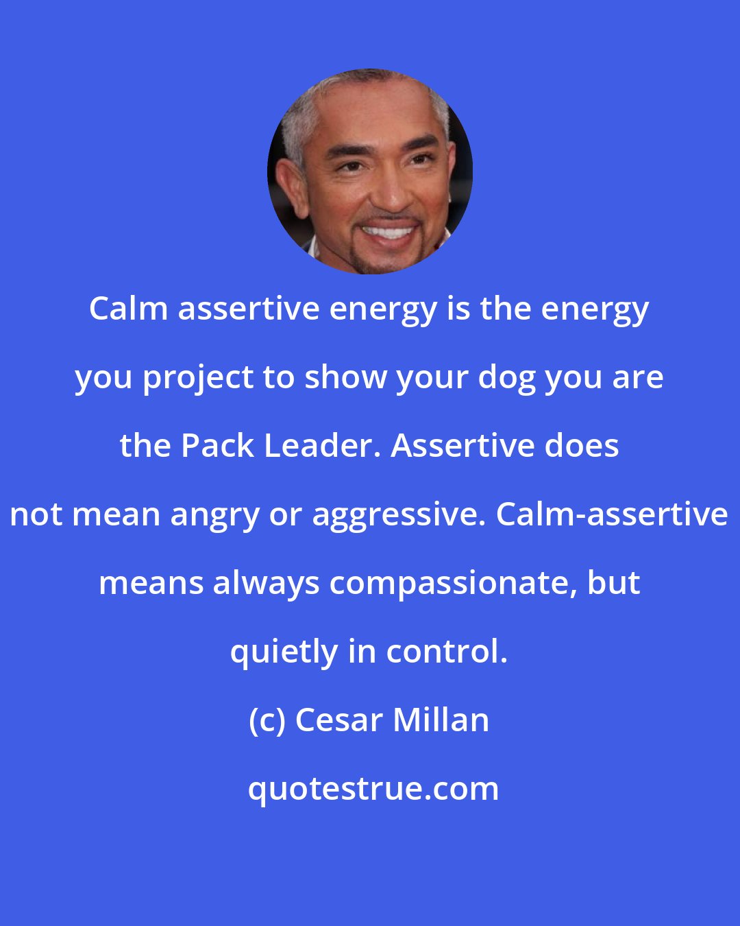 Cesar Millan: Calm assertive energy is the energy you project to show your dog you are the Pack Leader. Assertive does not mean angry or aggressive. Calm-assertive means always compassionate, but quietly in control.