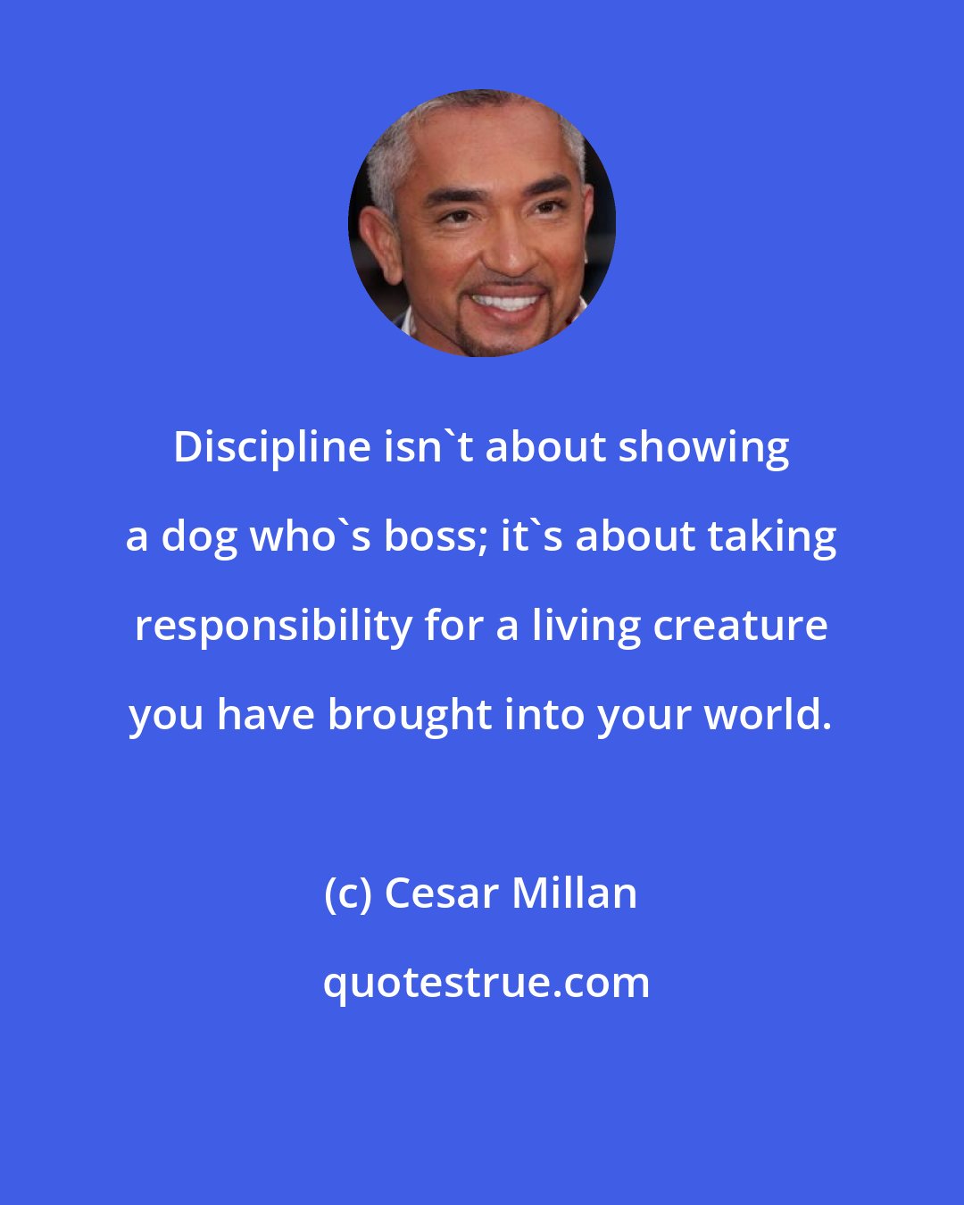 Cesar Millan: Discipline isn't about showing a dog who's boss; it's about taking responsibility for a living creature you have brought into your world.