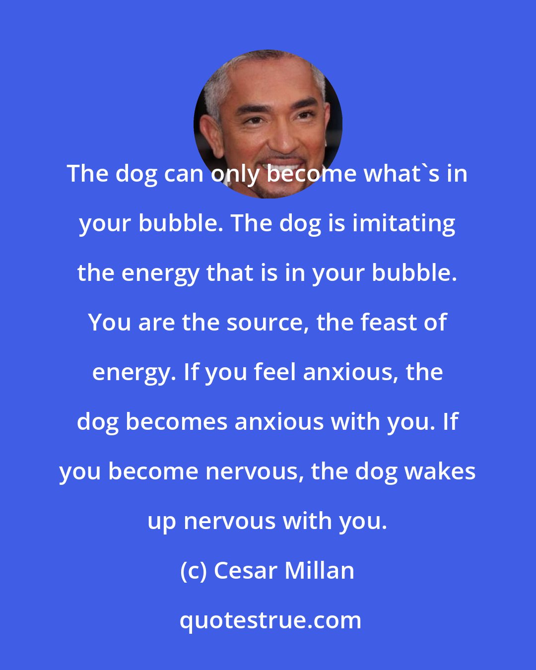 Cesar Millan: The dog can only become what's in your bubble. The dog is imitating the energy that is in your bubble. You are the source, the feast of energy. If you feel anxious, the dog becomes anxious with you. If you become nervous, the dog wakes up nervous with you.
