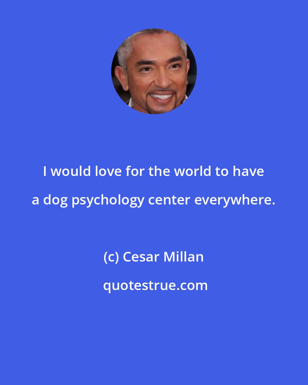 Cesar Millan: I would love for the world to have a dog psychology center everywhere.