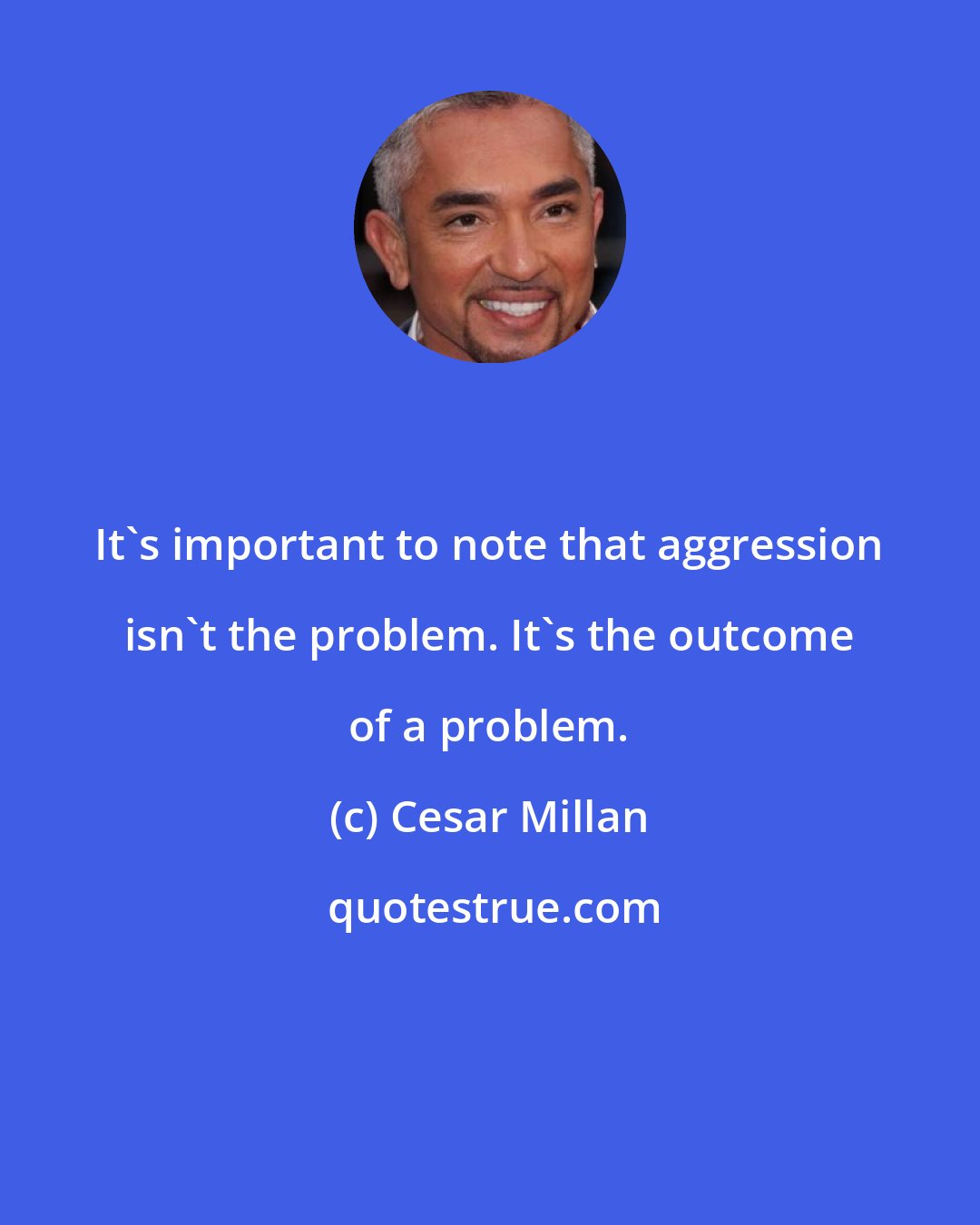 Cesar Millan: It's important to note that aggression isn't the problem. It's the outcome of a problem.