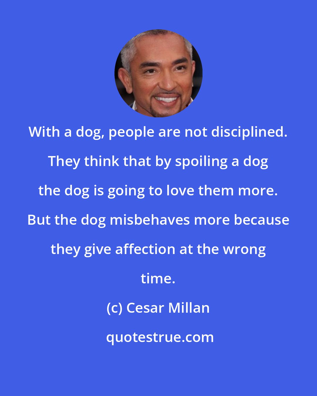 Cesar Millan: With a dog, people are not disciplined. They think that by spoiling a dog the dog is going to love them more. But the dog misbehaves more because they give affection at the wrong time.
