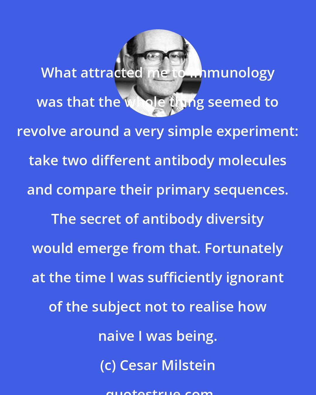 Cesar Milstein: What attracted me to immunology was that the whole thing seemed to revolve around a very simple experiment: take two different antibody molecules and compare their primary sequences. The secret of antibody diversity would emerge from that. Fortunately at the time I was sufficiently ignorant of the subject not to realise how naive I was being.