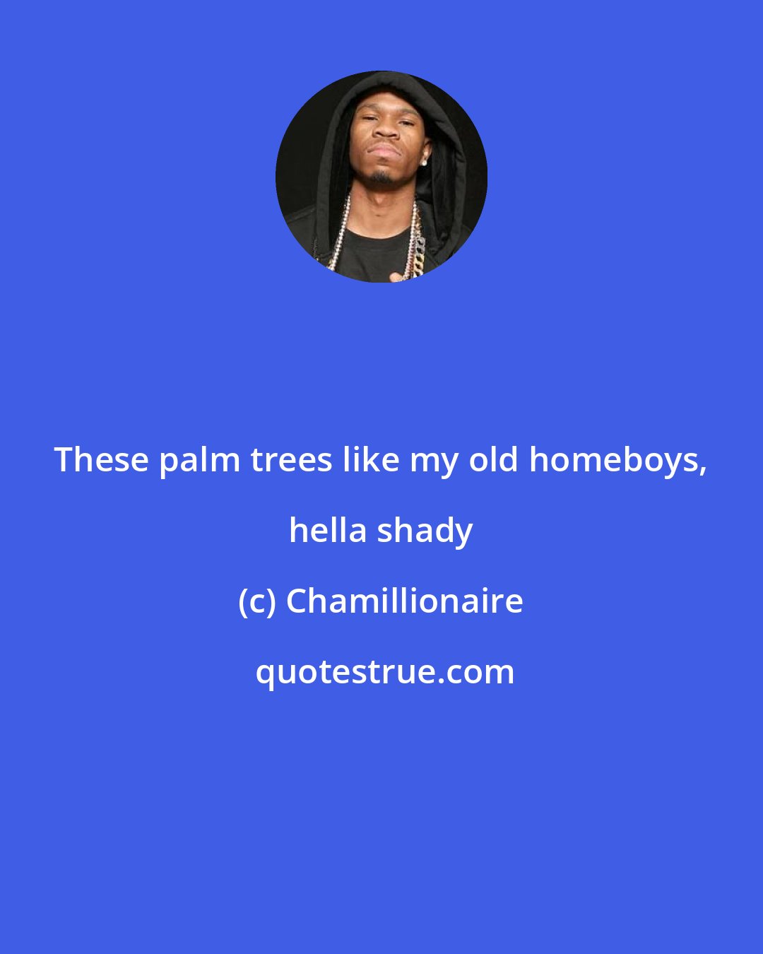 Chamillionaire: These palm trees like my old homeboys, hella shady