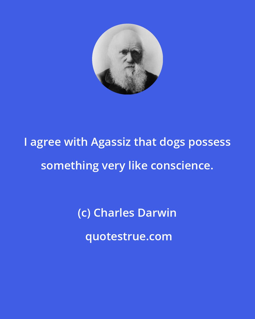 Charles Darwin: I agree with Agassiz that dogs possess something very like conscience.