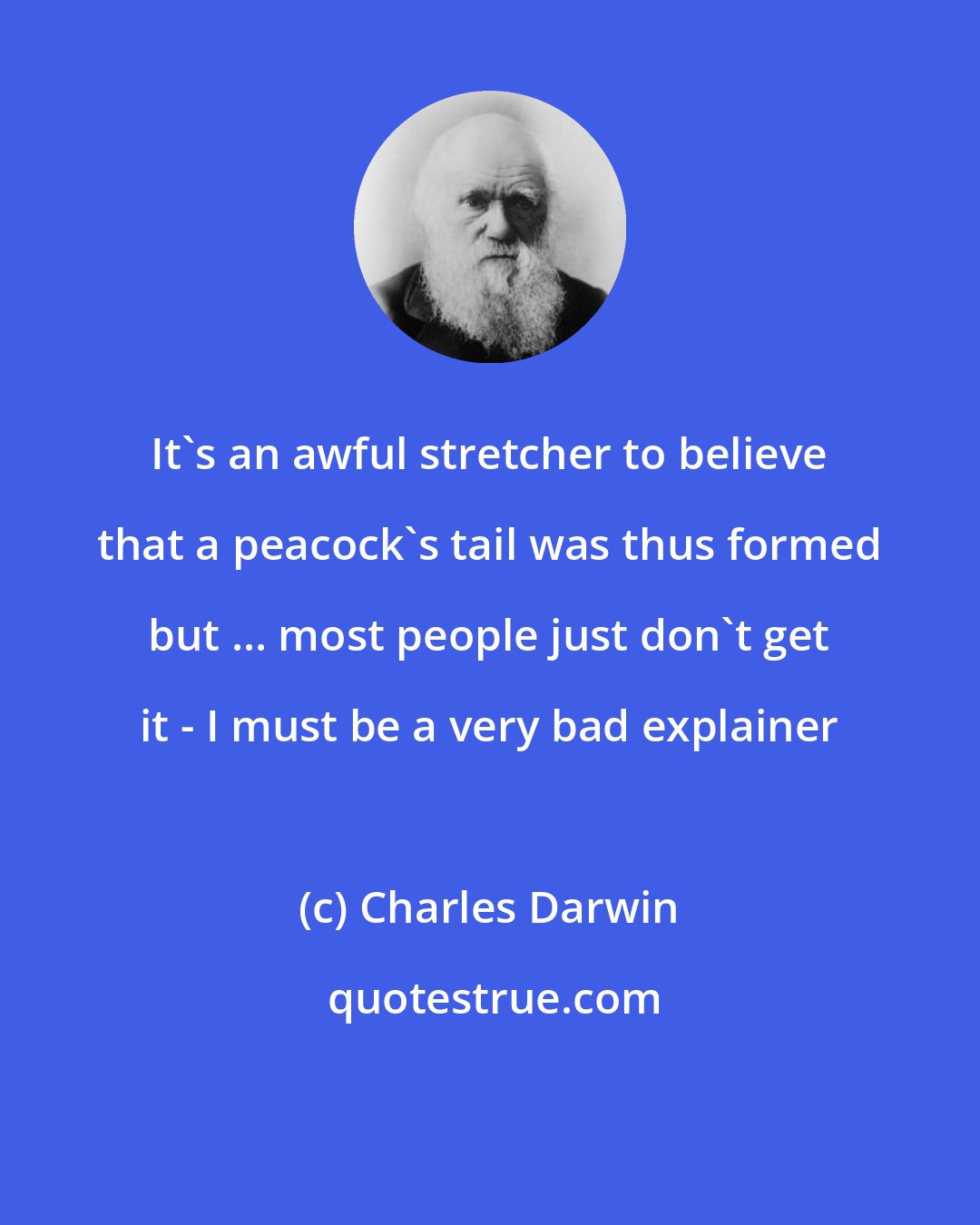 Charles Darwin: It's an awful stretcher to believe that a peacock's tail was thus formed but ... most people just don't get it - I must be a very bad explainer