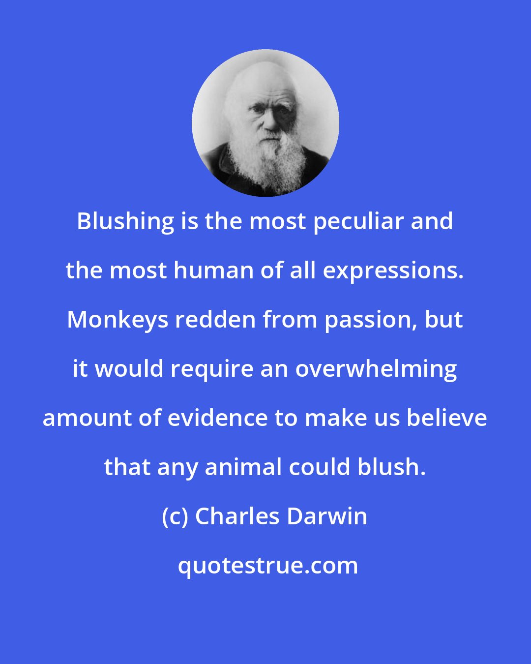 Charles Darwin: Blushing is the most peculiar and the most human of all expressions. Monkeys redden from passion, but it would require an overwhelming amount of evidence to make us believe that any animal could blush.