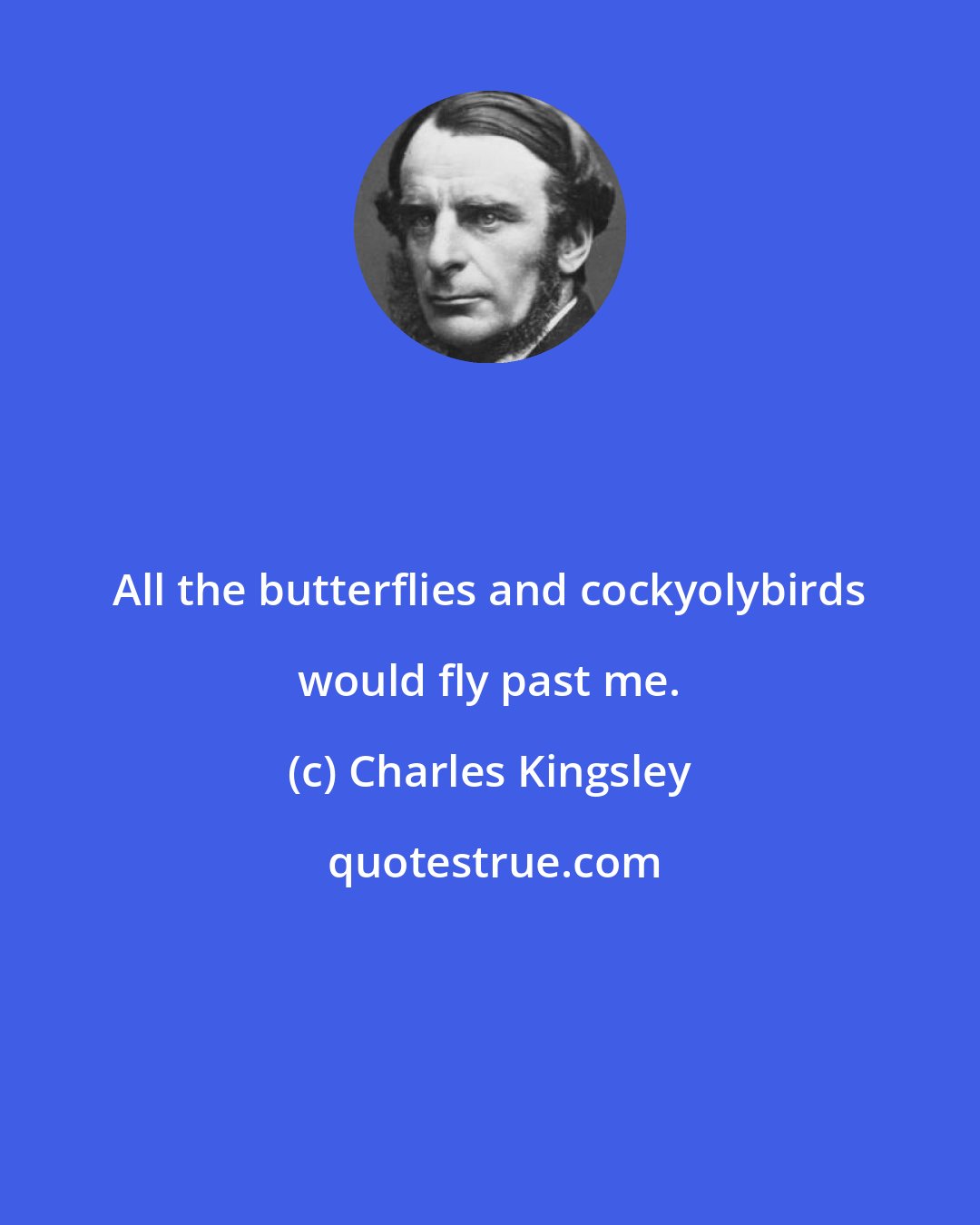 Charles Kingsley: All the butterflies and cockyolybirds would fly past me.