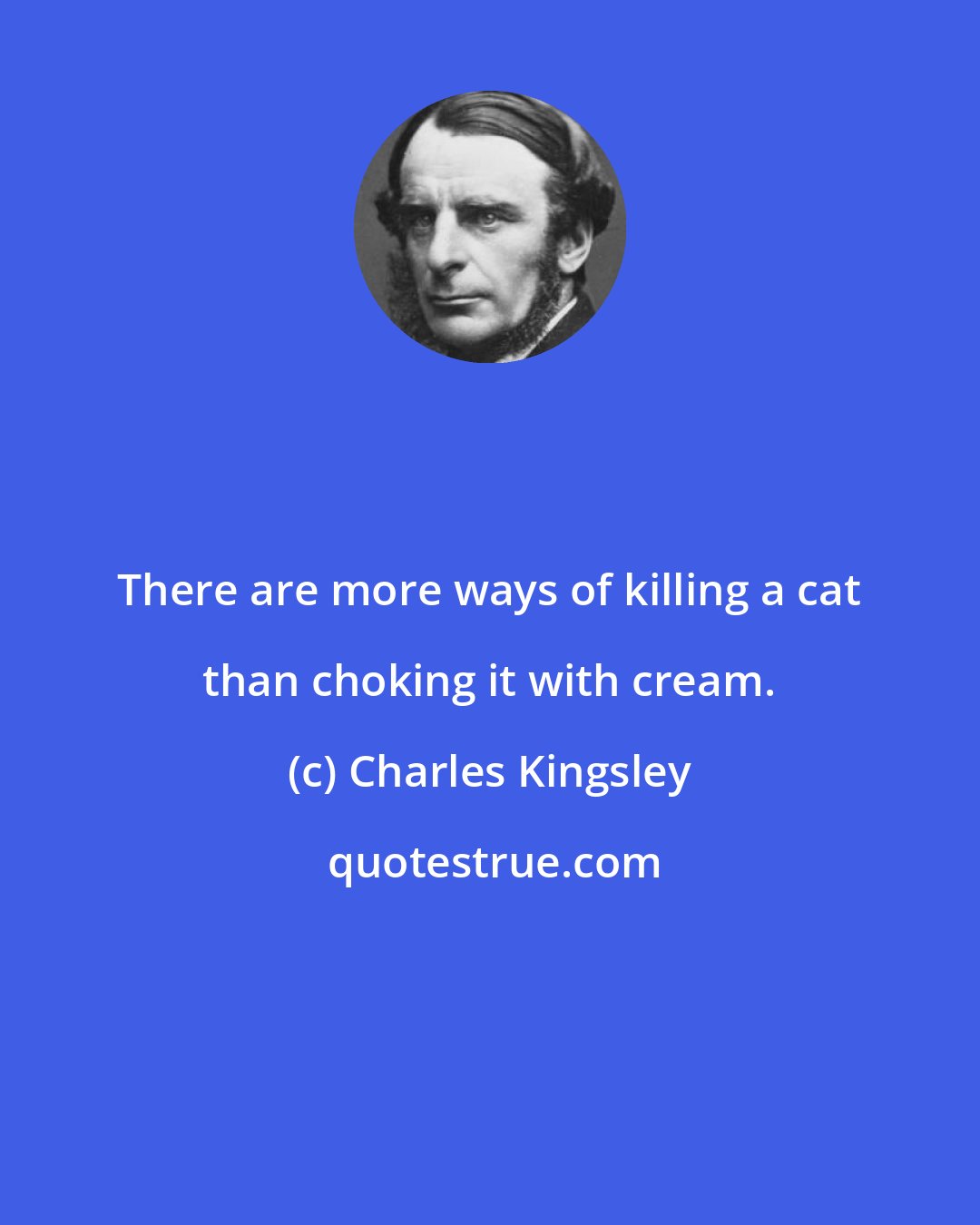 Charles Kingsley: There are more ways of killing a cat than choking it with cream.