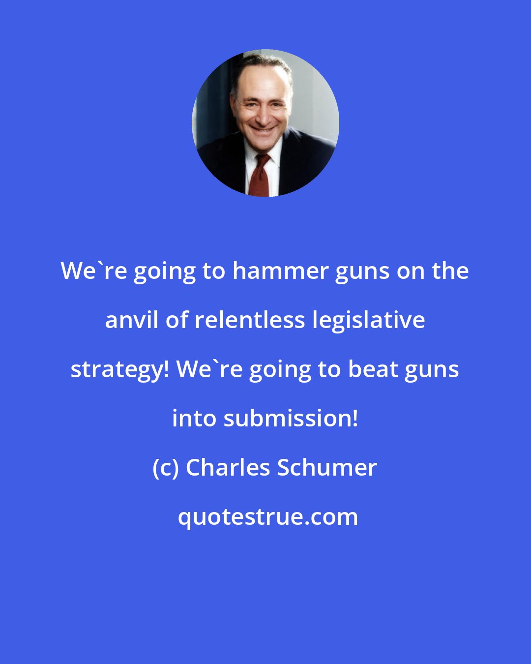 Charles Schumer: We're going to hammer guns on the anvil of relentless legislative strategy! We're going to beat guns into submission!