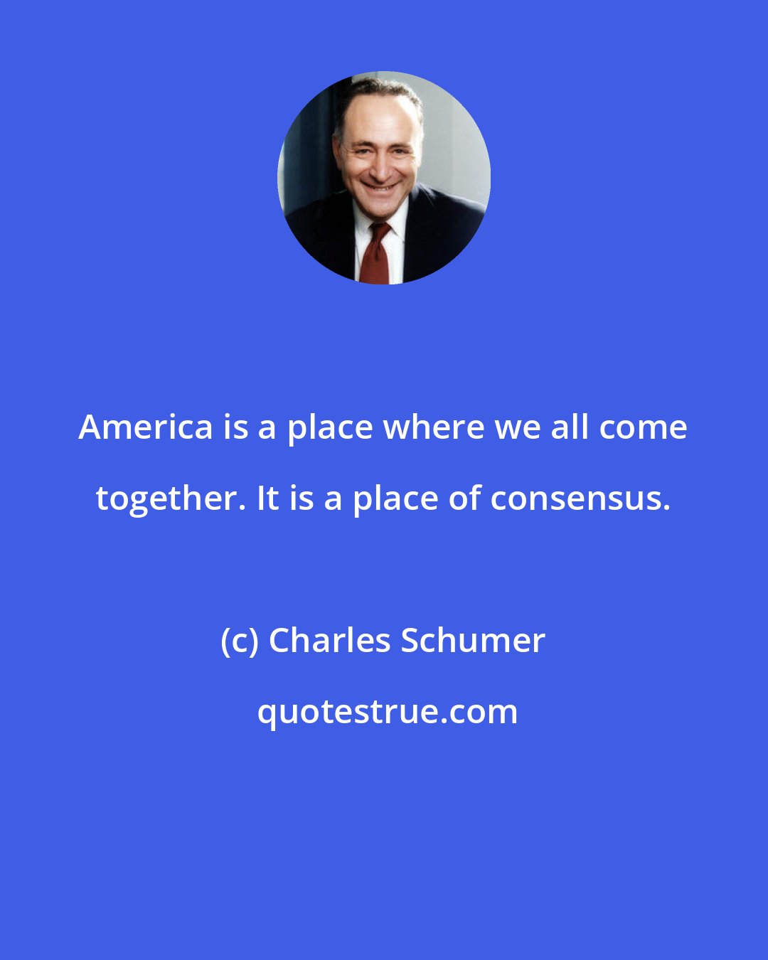 Charles Schumer: America is a place where we all come together. It is a place of consensus.