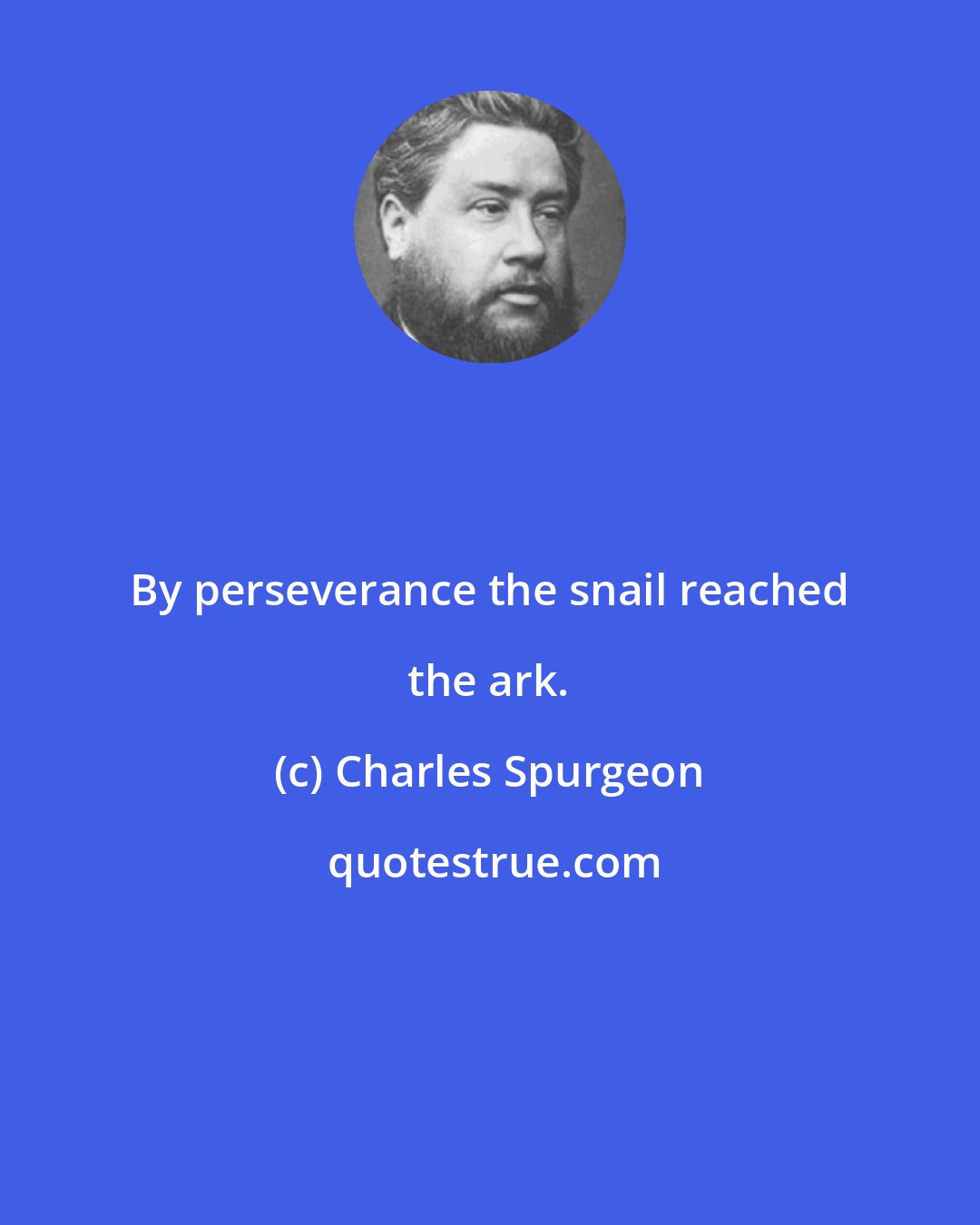 Charles Spurgeon: By perseverance the snail reached the ark.