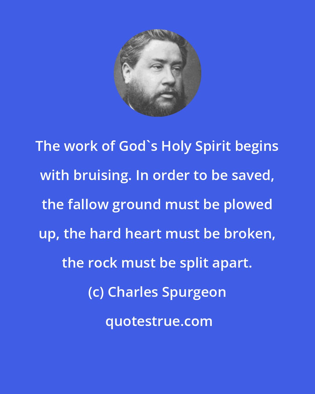 Charles Spurgeon: The work of God's Holy Spirit begins with bruising. In order to be saved, the fallow ground must be plowed up, the hard heart must be broken, the rock must be split apart.