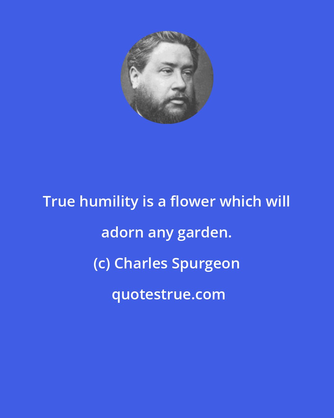 Charles Spurgeon: True humility is a flower which will adorn any garden.