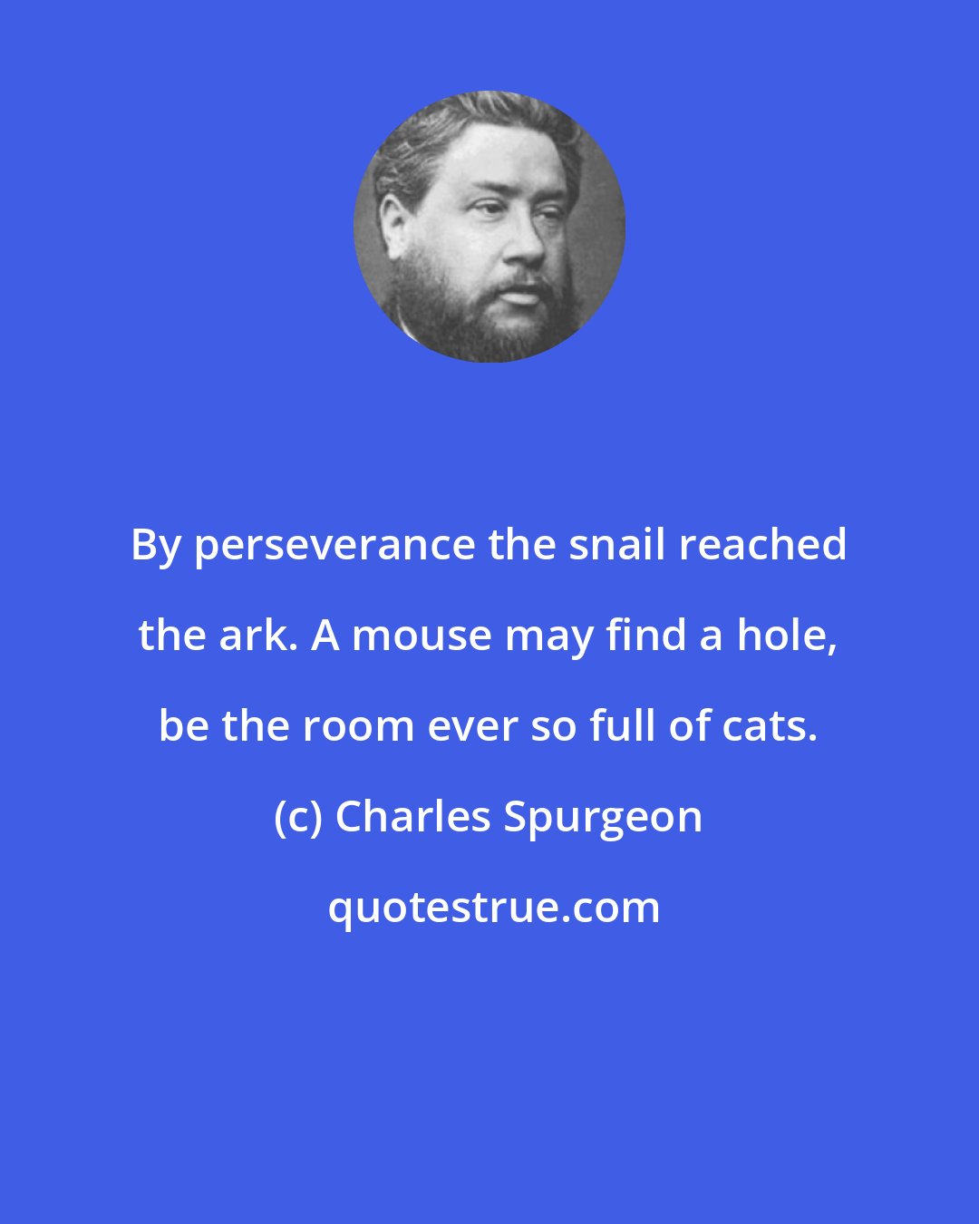 Charles Spurgeon: By perseverance the snail reached the ark. A mouse may find a hole, be the room ever so full of cats.