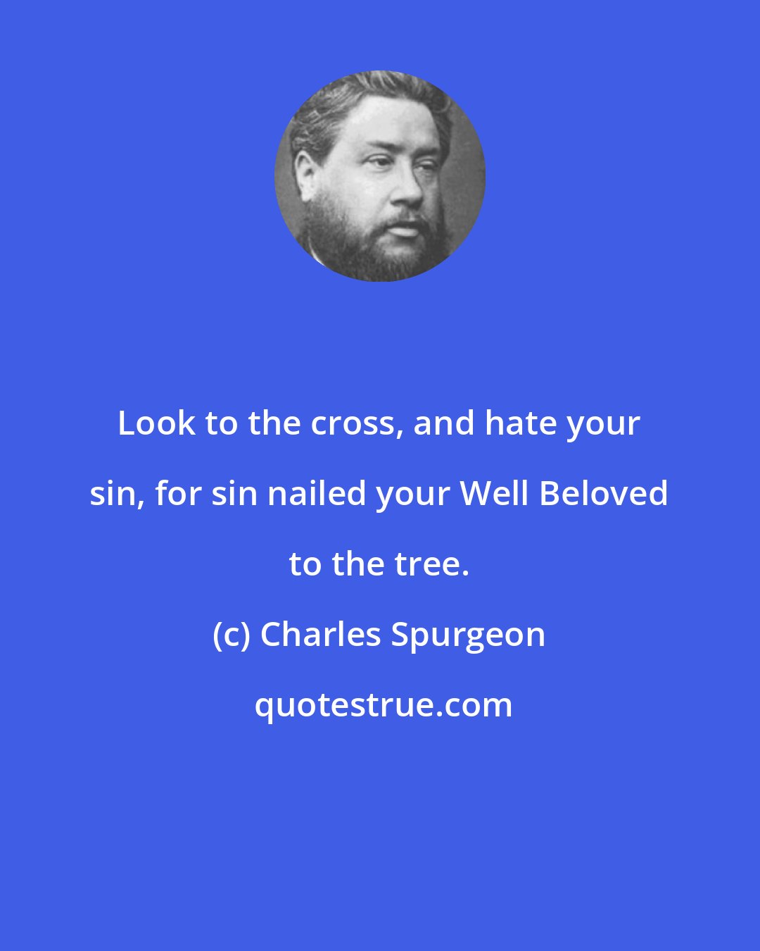 Charles Spurgeon: Look to the cross, and hate your sin, for sin nailed your Well Beloved to the tree.