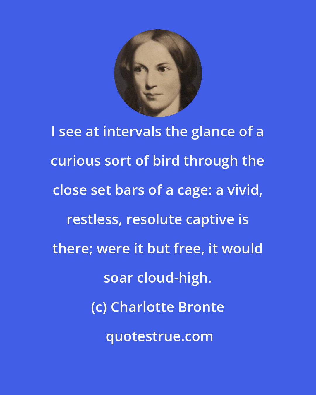 Charlotte Bronte: I see at intervals the glance of a curious sort of bird through the close set bars of a cage: a vivid, restless, resolute captive is there; were it but free, it would soar cloud-high.