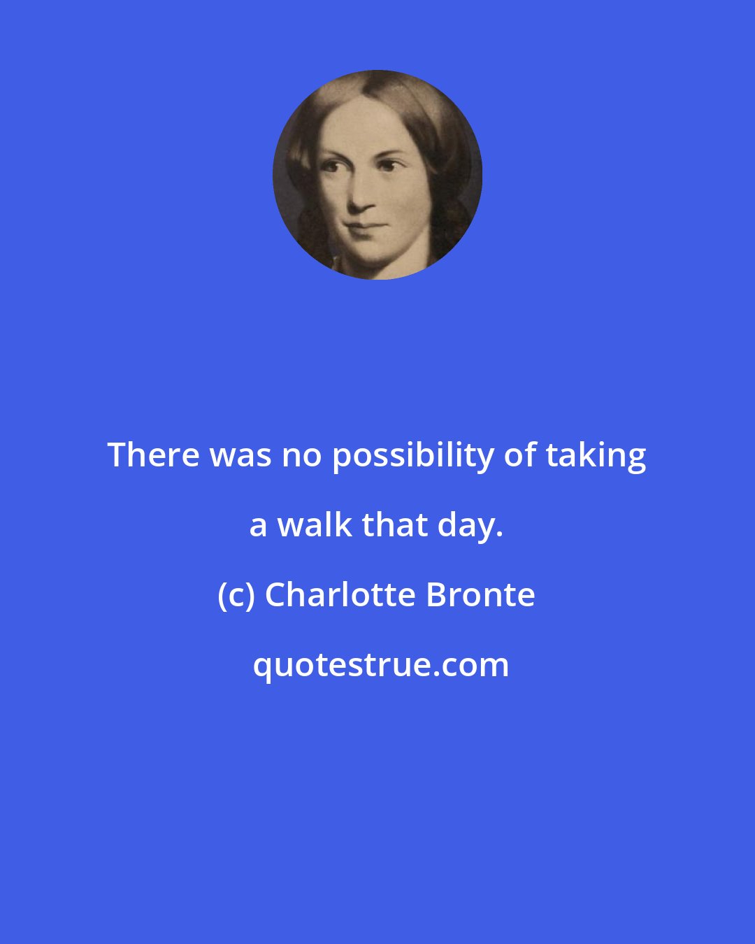 Charlotte Bronte: There was no possibility of taking a walk that day.