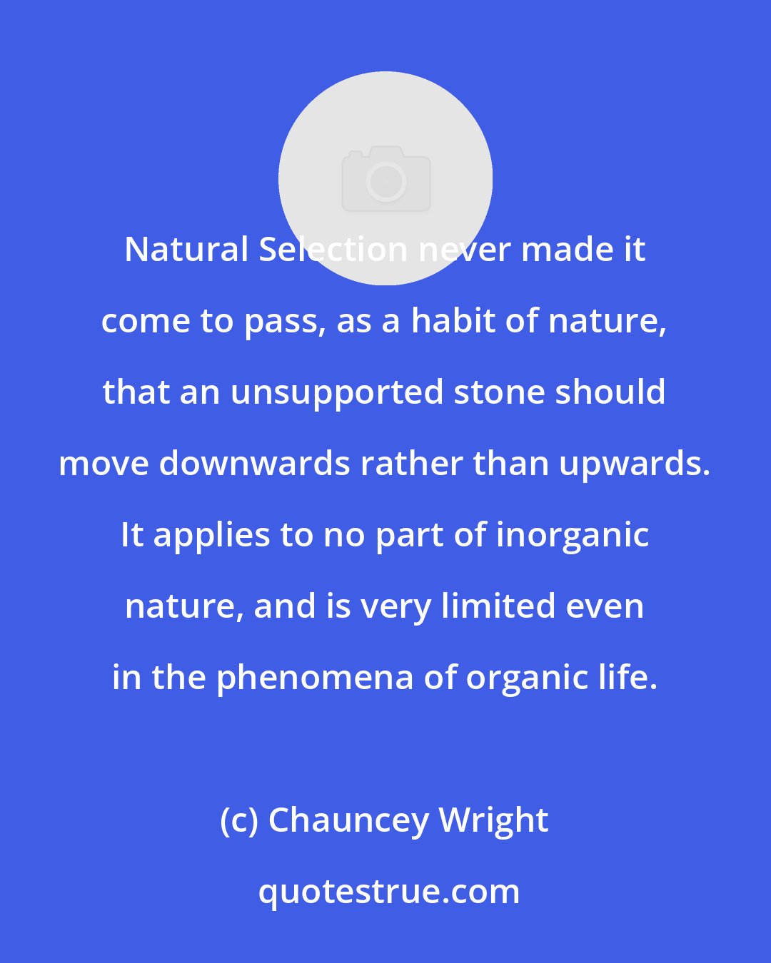 Chauncey Wright: Natural Selection never made it come to pass, as a habit of nature, that an unsupported stone should move downwards rather than upwards. It applies to no part of inorganic nature, and is very limited even in the phenomena of organic life.