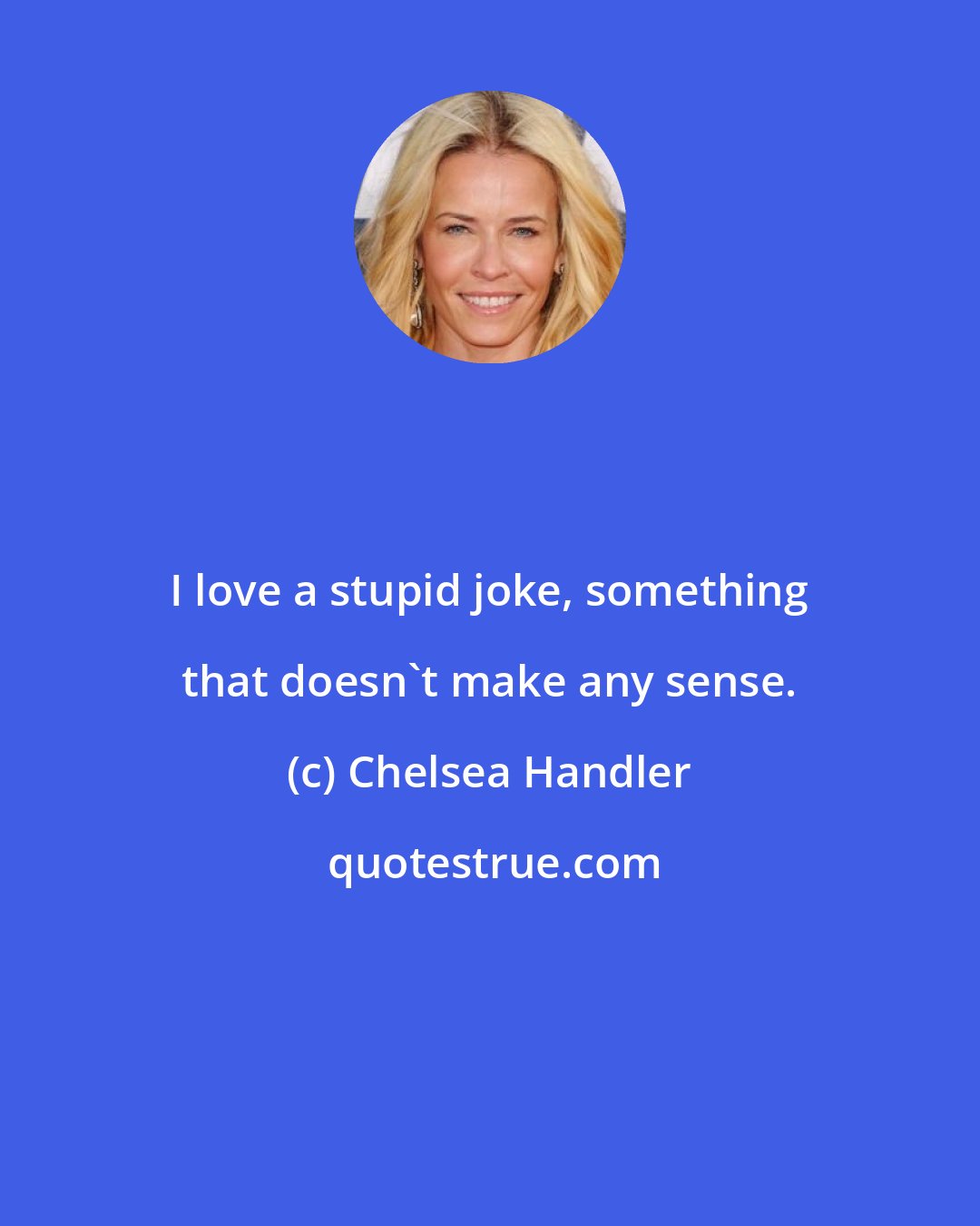 Chelsea Handler: I love a stupid joke, something that doesn't make any sense.