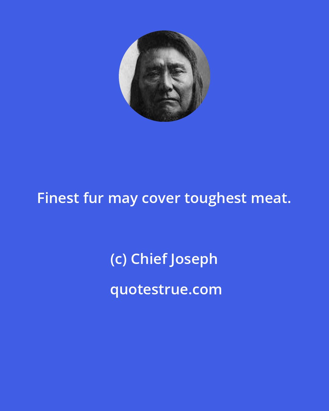 Chief Joseph: Finest fur may cover toughest meat.