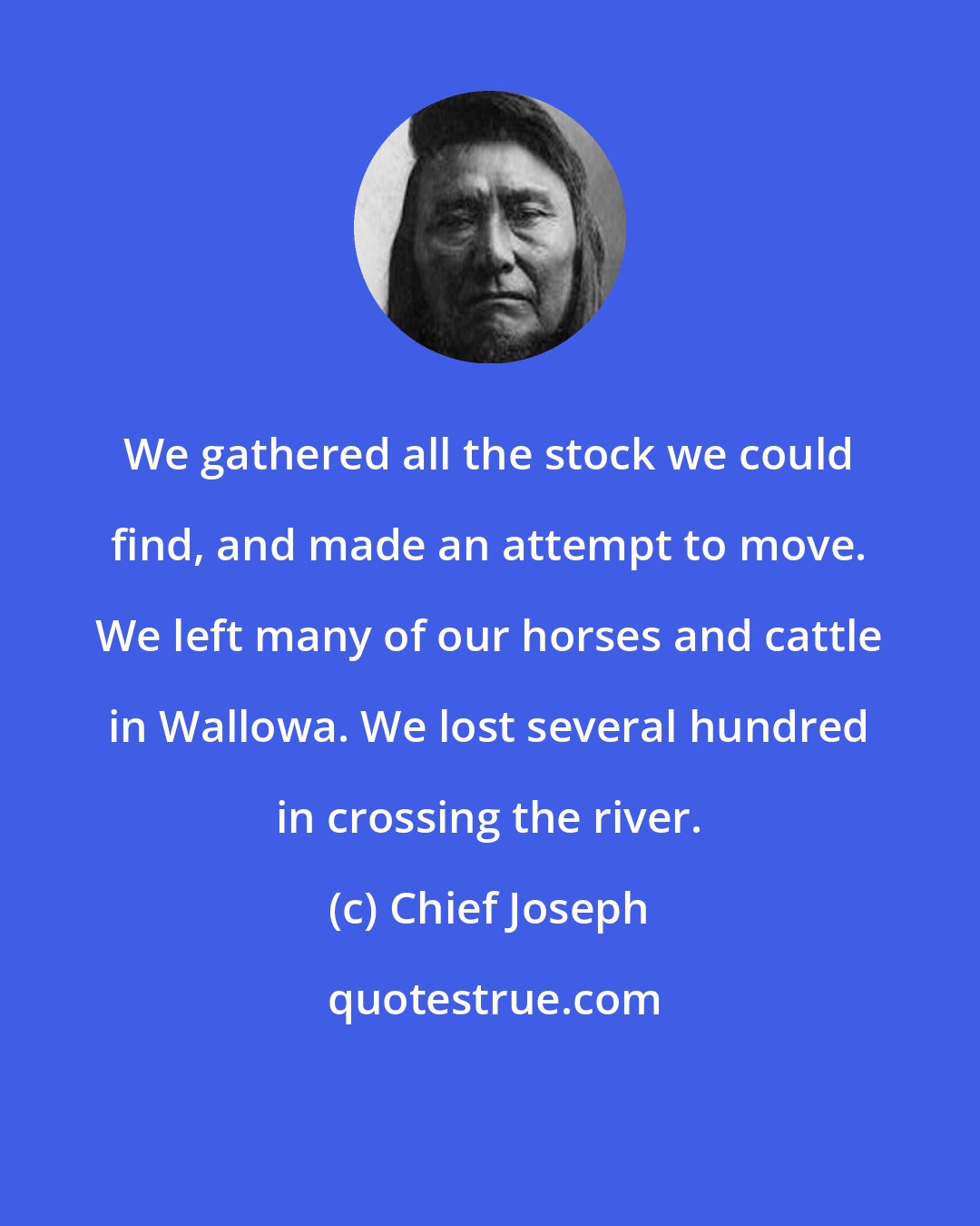 Chief Joseph: We gathered all the stock we could find, and made an attempt to move. We left many of our horses and cattle in Wallowa. We lost several hundred in crossing the river.