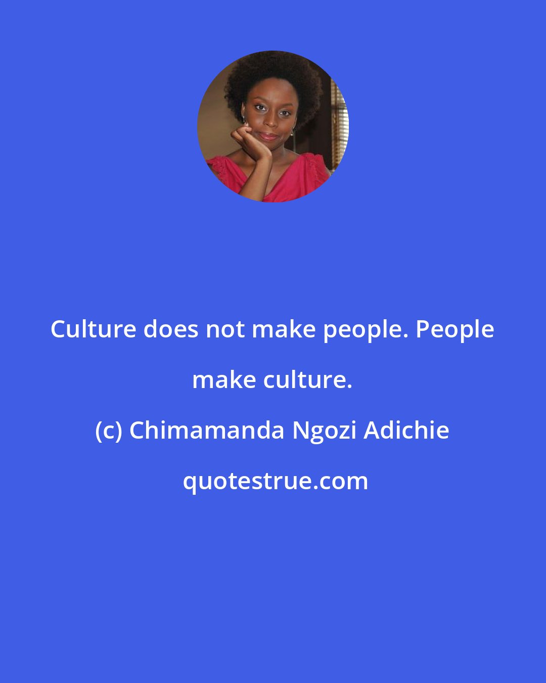 Chimamanda Ngozi Adichie: Culture does not make people. People make culture.