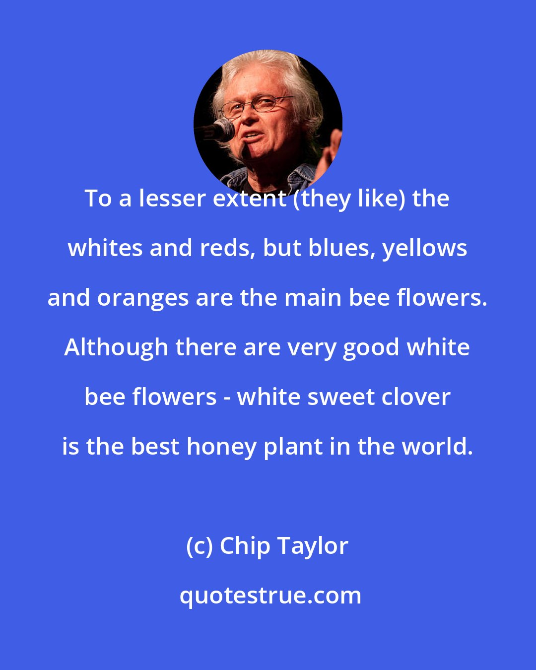 Chip Taylor: To a lesser extent (they like) the whites and reds, but blues, yellows and oranges are the main bee flowers. Although there are very good white bee flowers - white sweet clover is the best honey plant in the world.