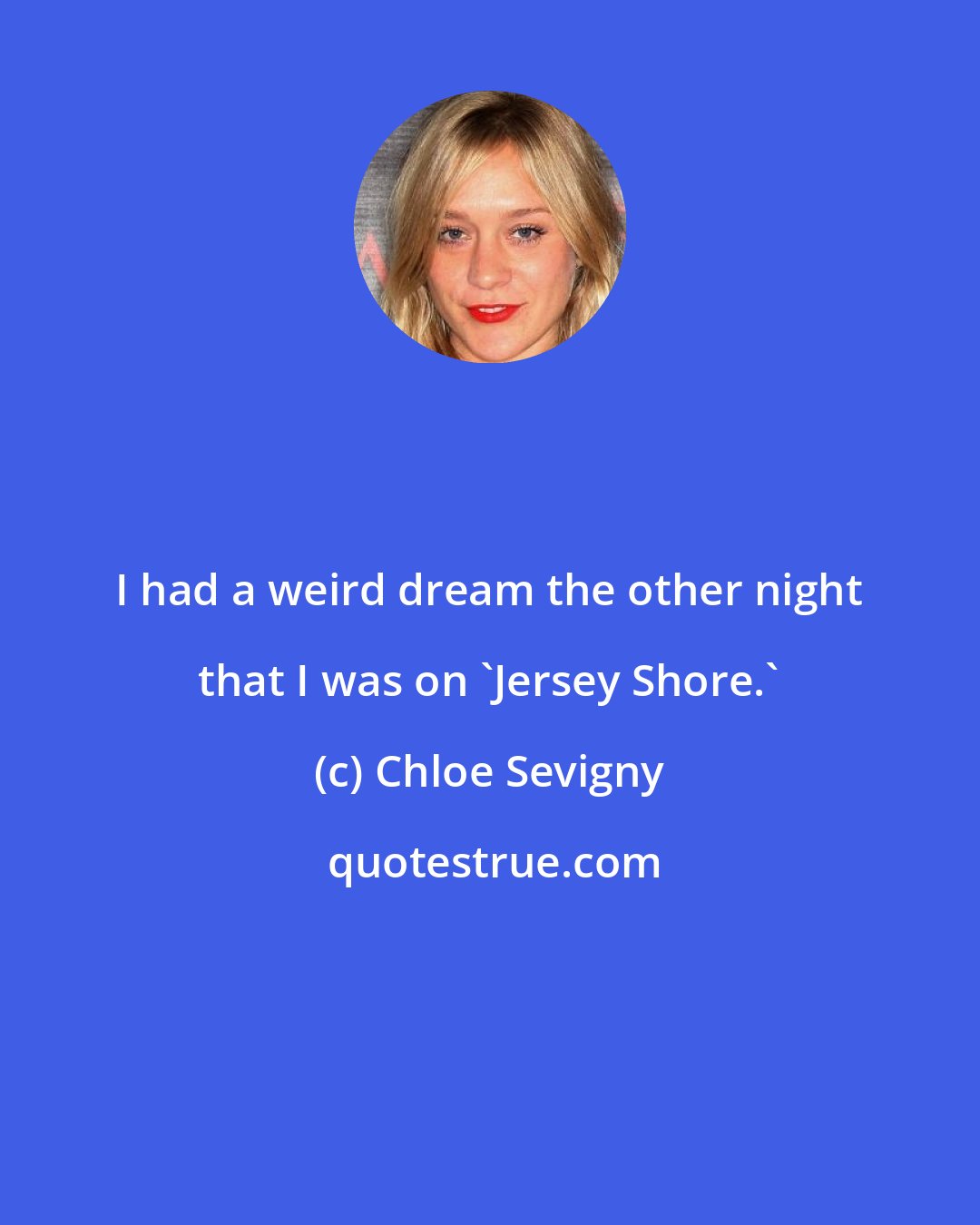 Chloe Sevigny: I had a weird dream the other night that I was on 'Jersey Shore.'