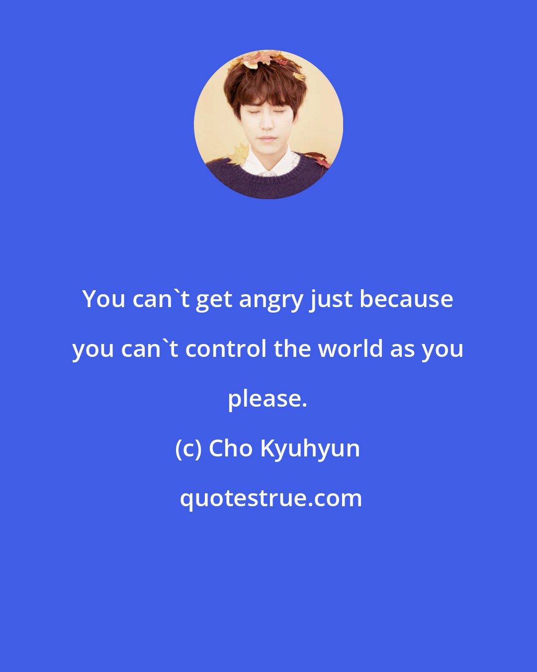 Cho Kyuhyun: You can't get angry just because you can't control the world as you please.