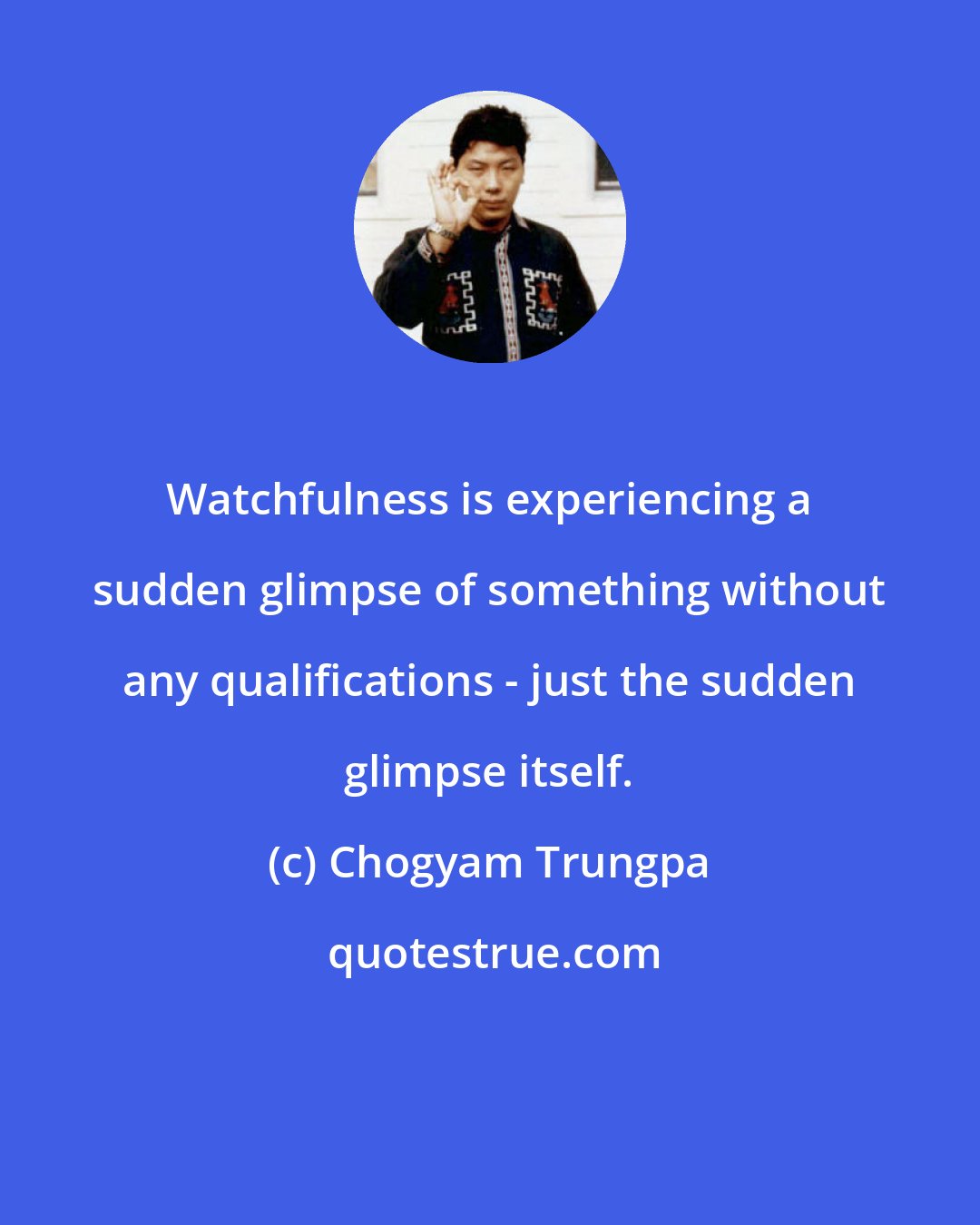 Chogyam Trungpa: Watchfulness is experiencing a sudden glimpse of something without any qualifications - just the sudden glimpse itself.