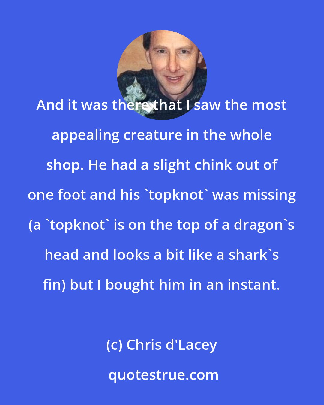 Chris d'Lacey: And it was there that I saw the most appealing creature in the whole shop. He had a slight chink out of one foot and his 'topknot' was missing (a 'topknot' is on the top of a dragon's head and looks a bit like a shark's fin) but I bought him in an instant.