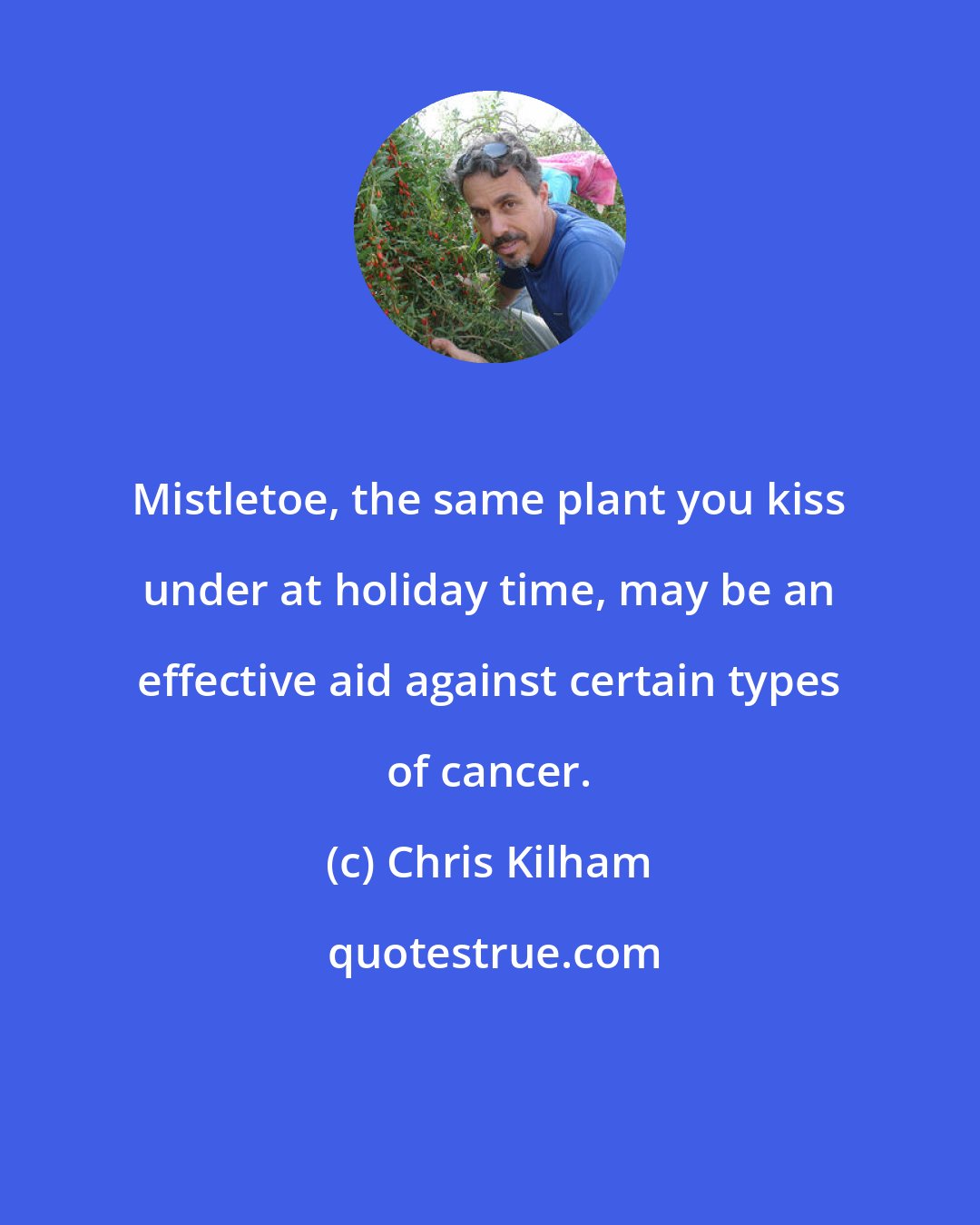 Chris Kilham: Mistletoe, the same plant you kiss under at holiday time, may be an effective aid against certain types of cancer.