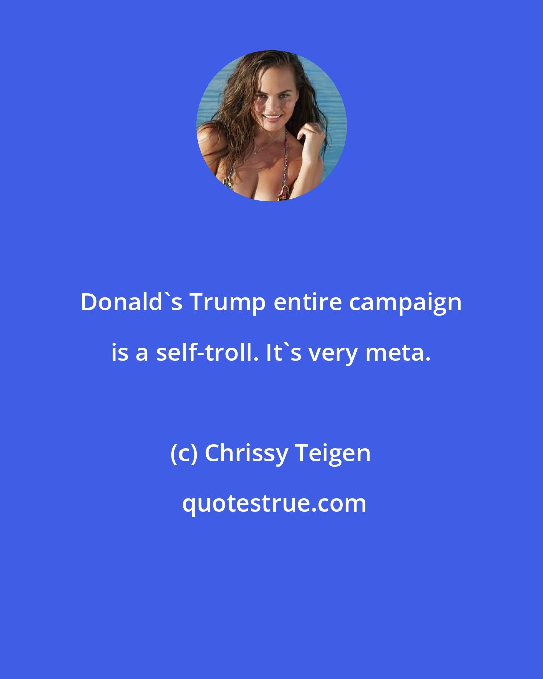 Chrissy Teigen: Donald's Trump entire campaign is a self-troll. It's very meta.