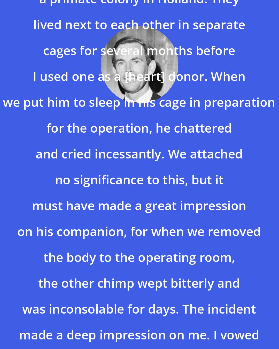 Christiaan Barnard: I had bought two male chimps from a primate colony in Holland. They lived next to each other in separate cages for several months before I used one as a [heart] donor. When we put him to sleep in his cage in preparation for the operation, he chattered and cried incessantly. We attached no significance to this, but it must have made a great impression on his companion, for when we removed the body to the operating room, the other chimp wept bitterly and was inconsolable for days. The incident made a deep impression on me. I vowed never again to experiment with such sensitive creatures.