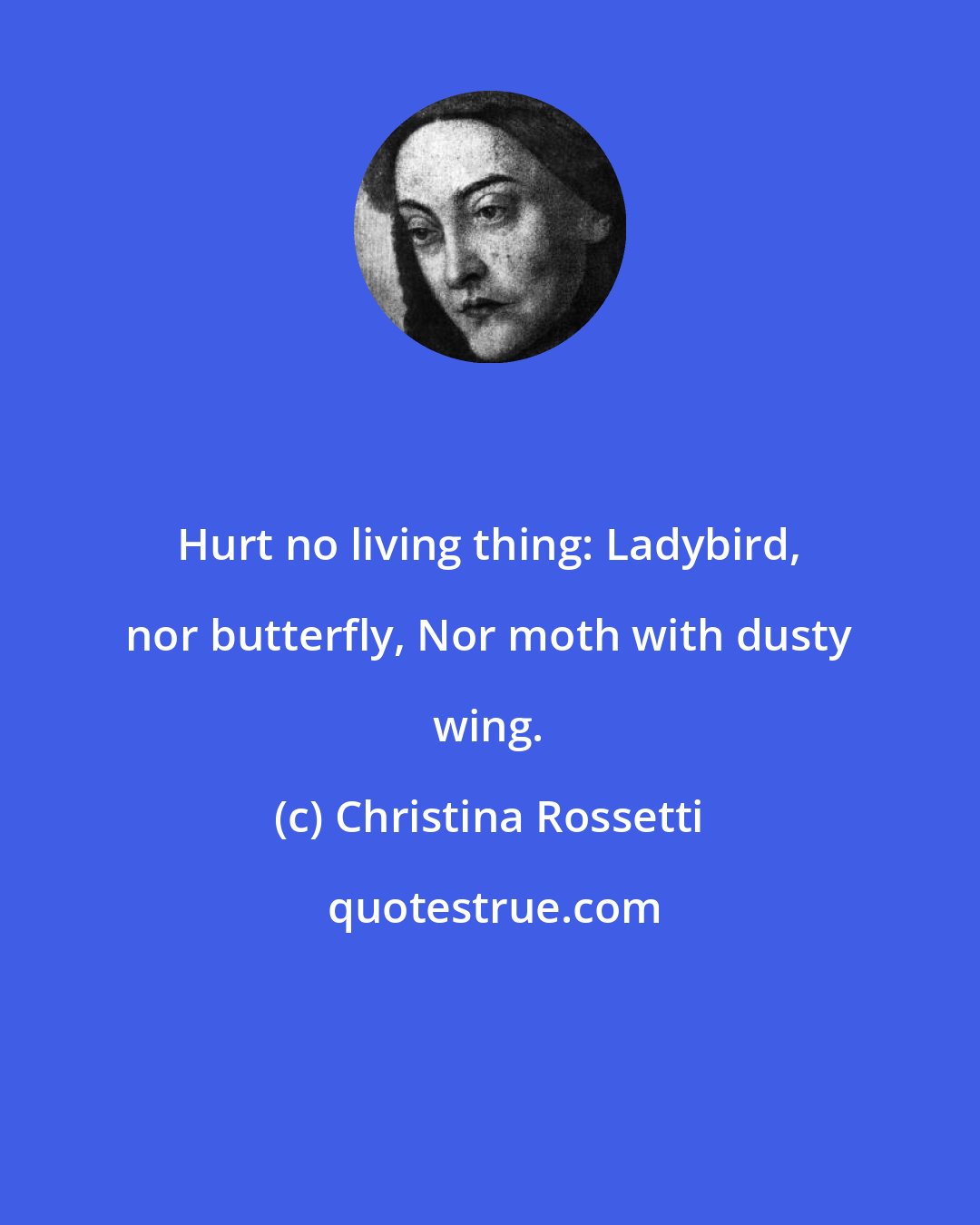 Christina Rossetti: Hurt no living thing: Ladybird, nor butterfly, Nor moth with dusty wing.