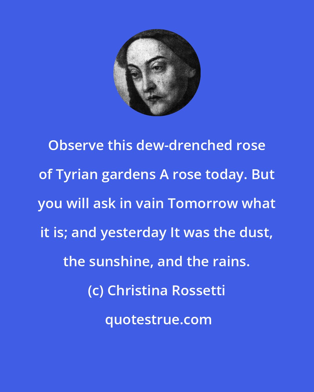 Christina Rossetti: Observe this dew-drenched rose of Tyrian gardens A rose today. But you will ask in vain Tomorrow what it is; and yesterday It was the dust, the sunshine, and the rains.