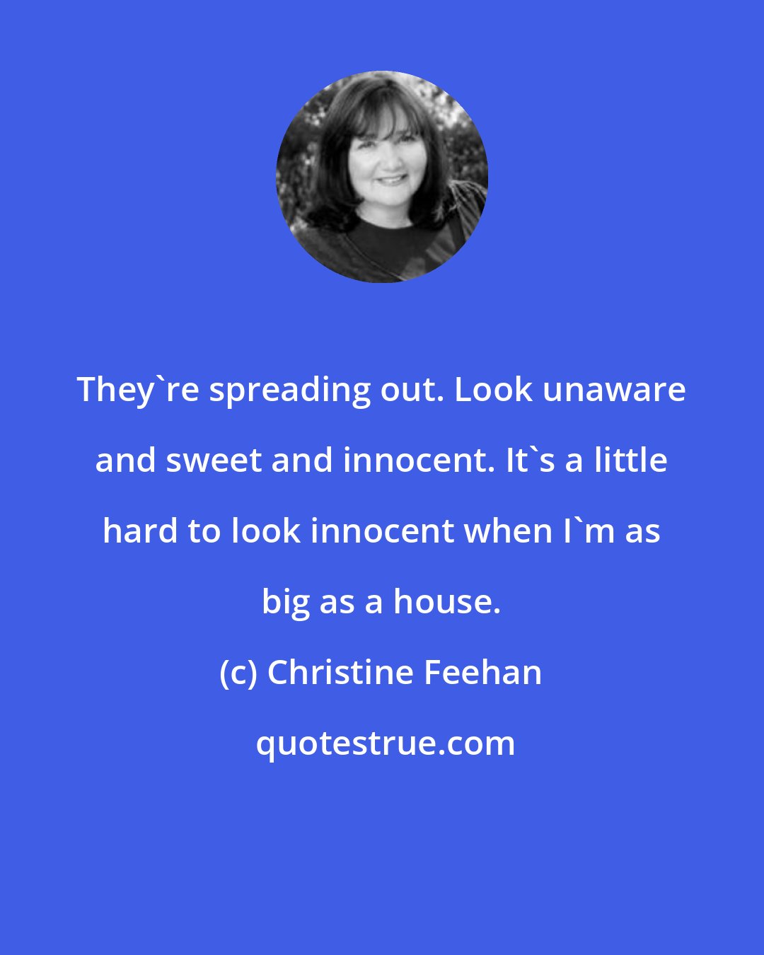 Christine Feehan: They're spreading out. Look unaware and sweet and innocent. It's a little hard to look innocent when I'm as big as a house.