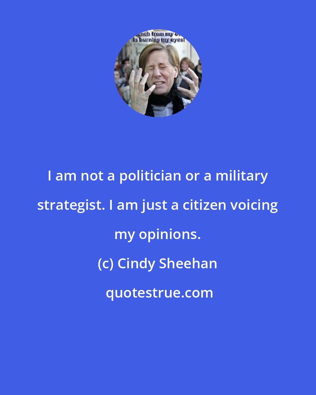 Cindy Sheehan: I am not a politician or a military strategist. I am just a citizen voicing my opinions.