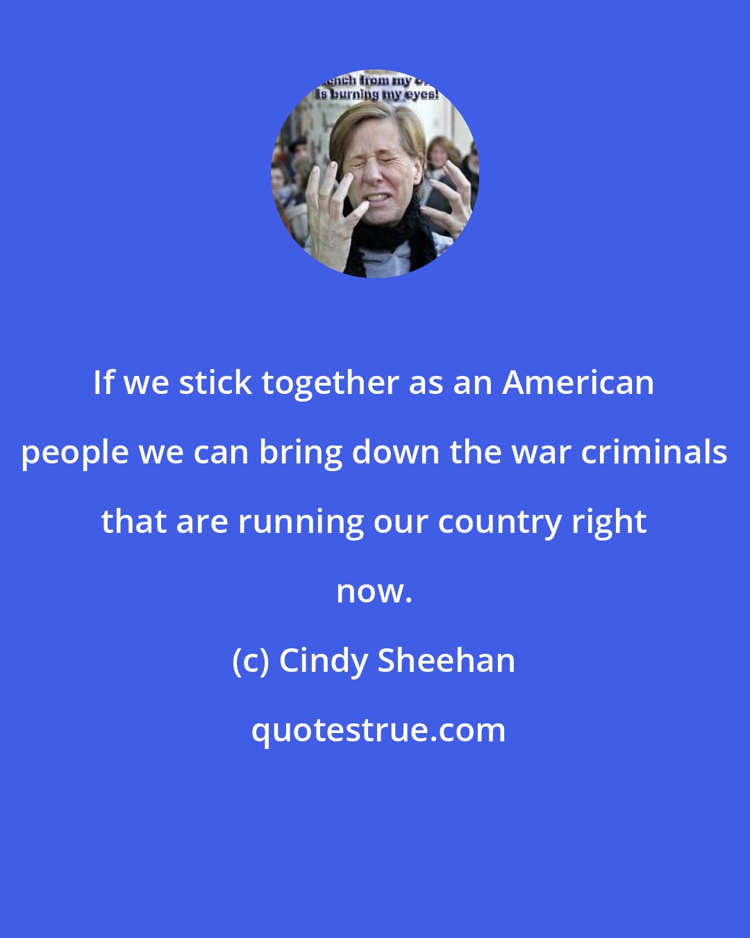 Cindy Sheehan: If we stick together as an American people we can bring down the war criminals that are running our country right now.