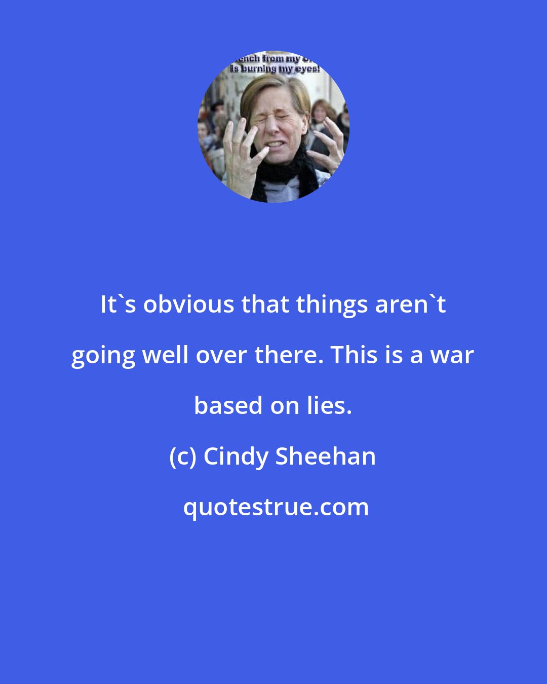 Cindy Sheehan: It's obvious that things aren't going well over there. This is a war based on lies.