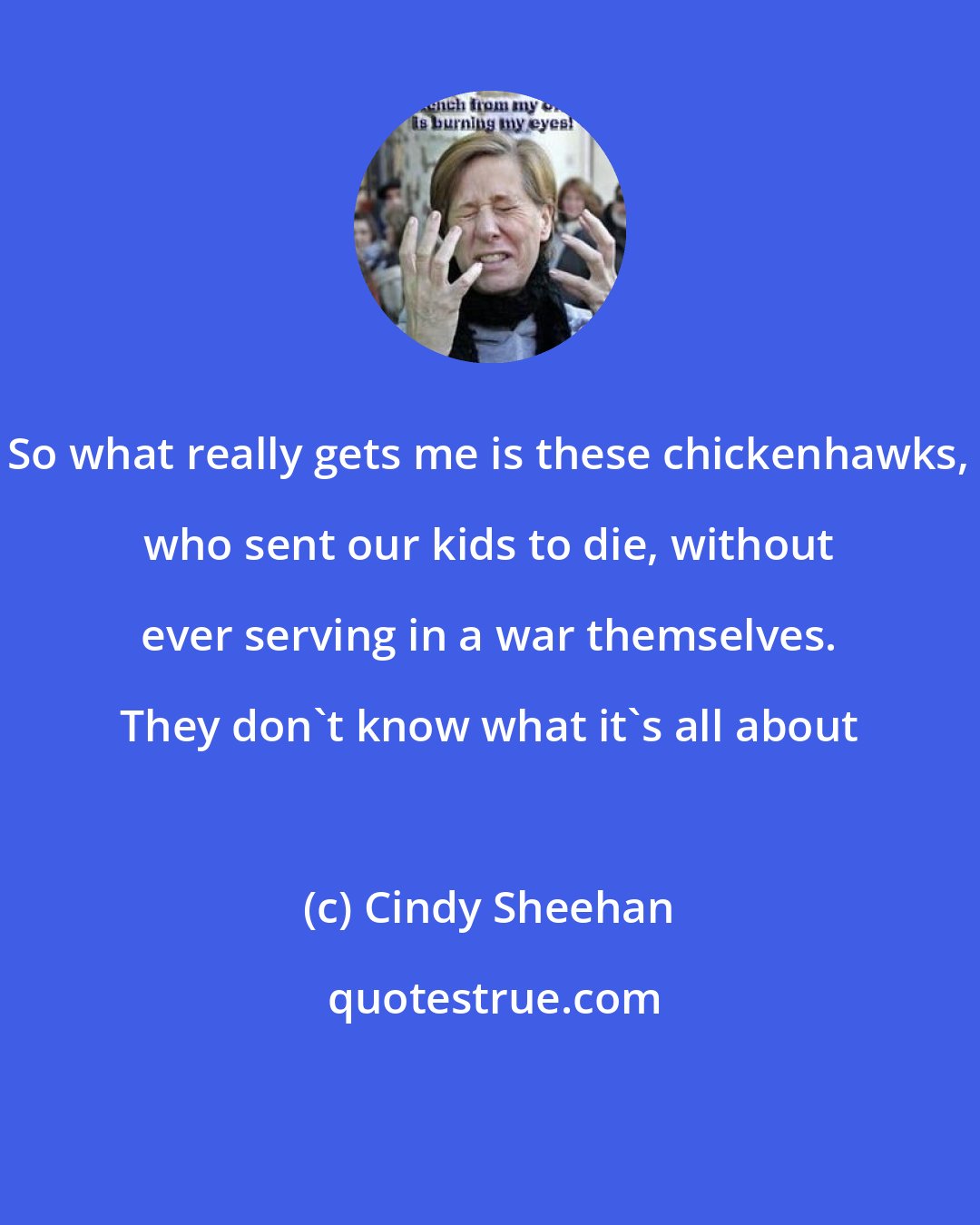 Cindy Sheehan: So what really gets me is these chickenhawks, who sent our kids to die, without ever serving in a war themselves. They don't know what it's all about