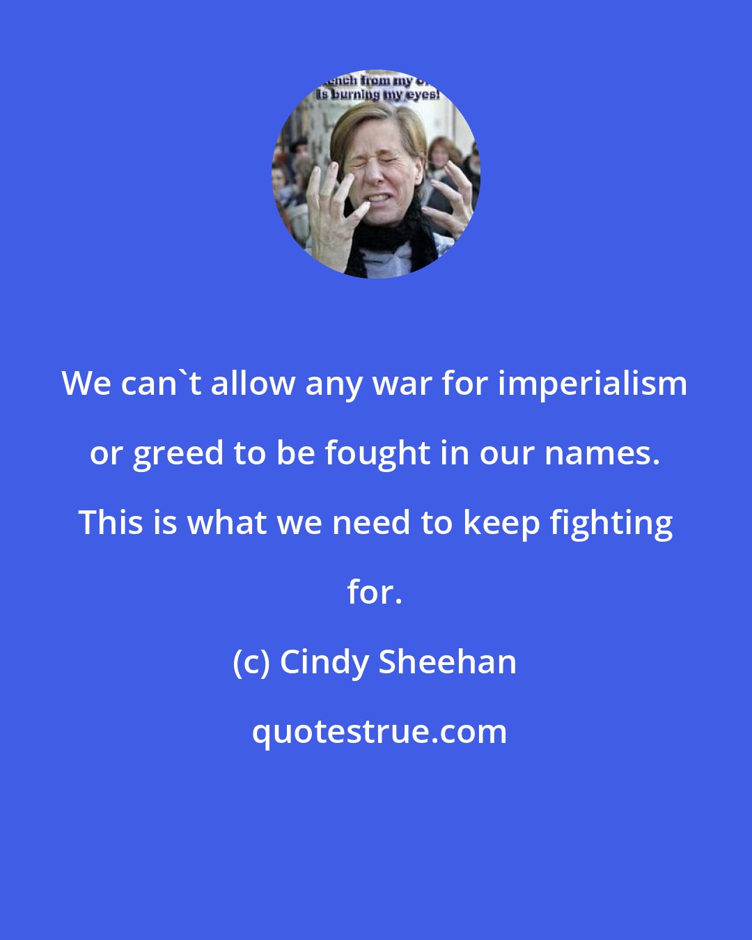 Cindy Sheehan: We can't allow any war for imperialism or greed to be fought in our names. This is what we need to keep fighting for.